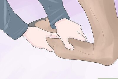 How to Assess Tendon Damage in a Horse