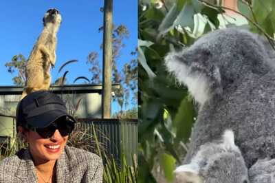 Priyanka Chopra Gets An 8 Month Old Koala Named After Her, Thanks Paradise Country For The ‘Lovely Surprise’
