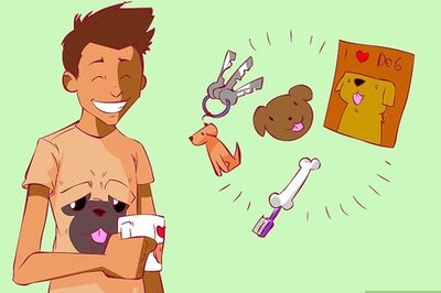 How to Become a Dog Lover