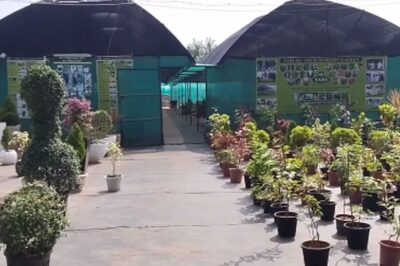 This Tamil Family's Profits Run In Crores Courtesy Of Timber In Two-acre Land