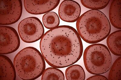 Insulin-producing pancreatic cells created from human skin