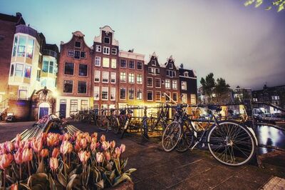 Why Your Holiday Plans in Amsterdam Could Suddenly Get More Expensive