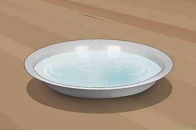 How to Make a Flea Trap