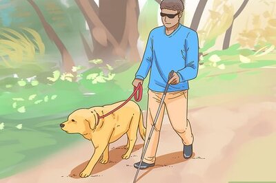 How to Get a Service Dog if You're Blind or Visually Impaired