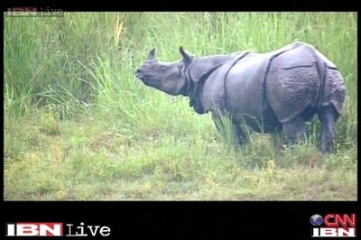 Assam plans solar fencing at Kaziranga to protect wildlife