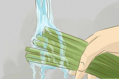 How to Eat Cattails