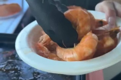 Woman Cooks Seafood Meal Inside Her Tesla; Internet Worried About Car Smell