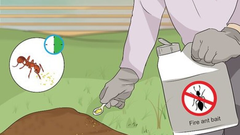 How to Get Rid of Fire Ants