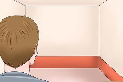 How to Move Newborn Kittens