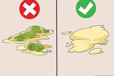 How to Treat Diarrhea in Lovebirds