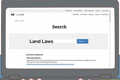How to Buy Quail Chicks
