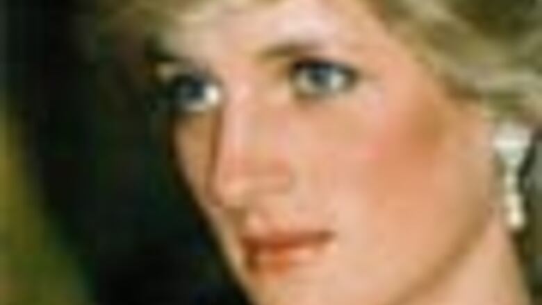 Diana 'killed for trying to expose UK arms dealers'