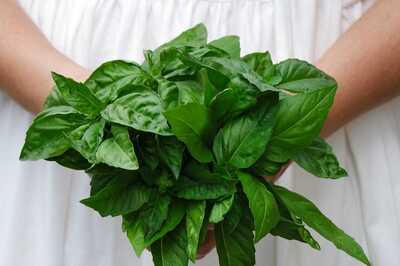 Here's How You Can Chop Herbs Like a Master Chef, See Video