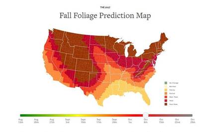 New Interactive Map Tells You When The Leaves Are at Their Most Colorful in US This Fall