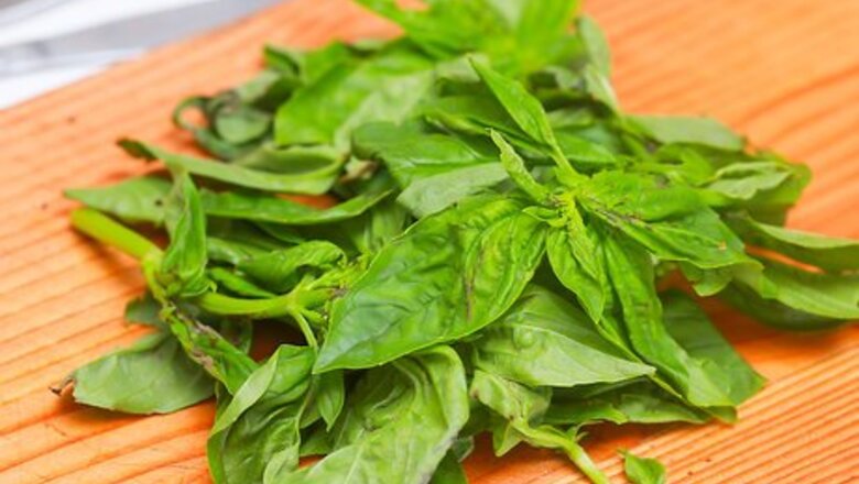 How to Freeze Herbs