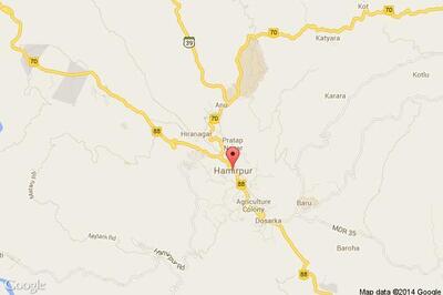 Buffalo gives birth to white calf in Hamirpur