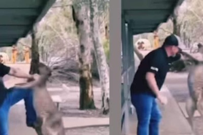 Watch: Man Grabs Kangaroo By Its Throat And Pushes It Backwards