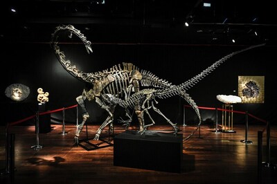 Two Dinosaurs Sold For Over 1.5 Million Dollars In Paris