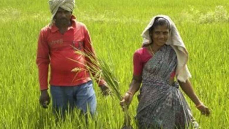 Sikkim aims to become 'fully organic' by 2015