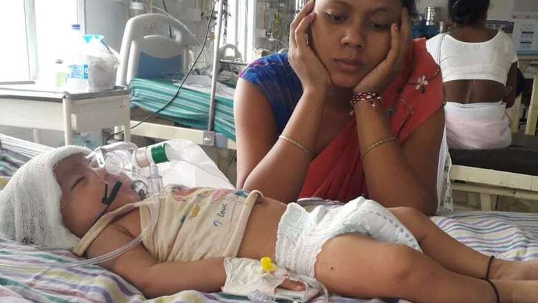 Assam Sees a Decline in Number of Japanese Encephalitis Cases