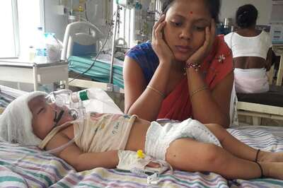 Assam Sees a Decline in Number of Japanese Encephalitis Cases