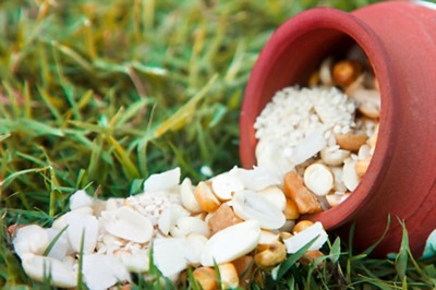 Happy Pongal 2019: Best Messages You Can Send This Year