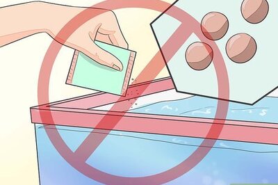 How to Feed Sea Monkeys