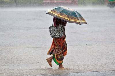 Rains lash some parts of Punjab, Haryana