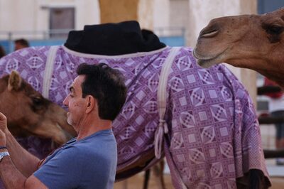 Camel Flu Infection Haunts FIFA World Cup 2022 Fans in Qatar | All About Covid's Deadlier Cousin