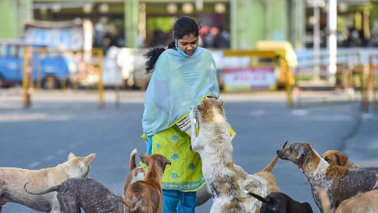 News18 Evening Digest: HC's Big Order on Compensation to Dog Bite Victims and Other Top Stories