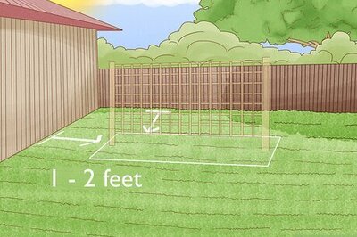 How to Put up a Trellis