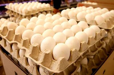Egg Intake Doesn't Up Heart Disease, Stroke Risks, Says Study