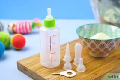 How to Cut a Nipple for a Kitten Bottle