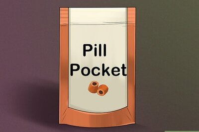 How to Give Tricyclic Antidepressants to a Cat