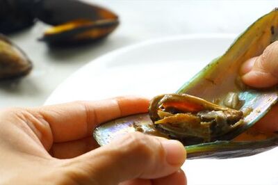 How to Eat Mussels