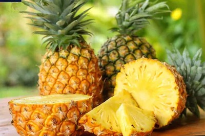 Succulent, Sour and Sweet: A History of Pineapple