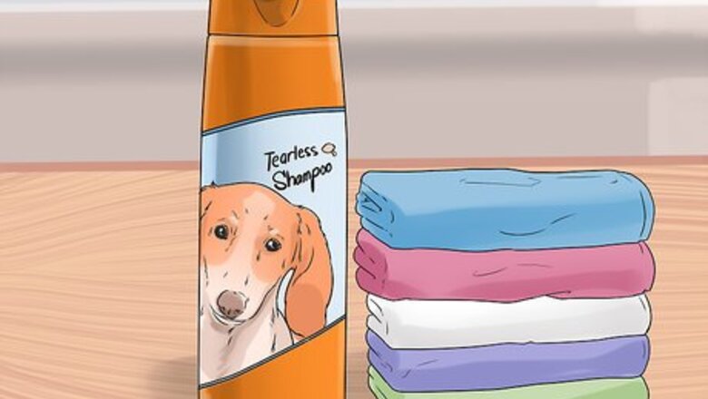 How to Give a Newborn Puppy a Bath