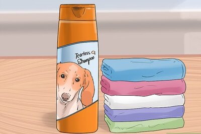 How to Give a Newborn Puppy a Bath