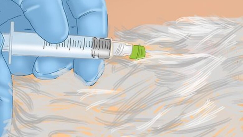 How to Prevent Kennel Cough