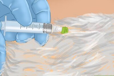 How to Prevent Kennel Cough