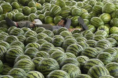 Watermelon helps prevent heart attack, curbs weight