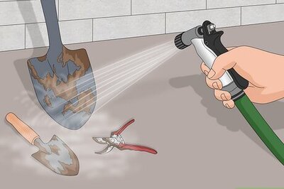 How to Disinfect Gardening Tools