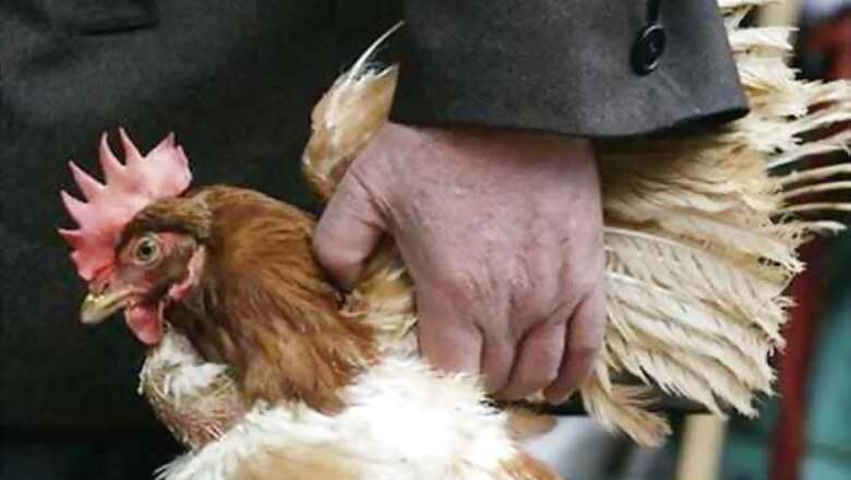 Bird flu: Tamil Nadu halts transportation of chicken from Kerala