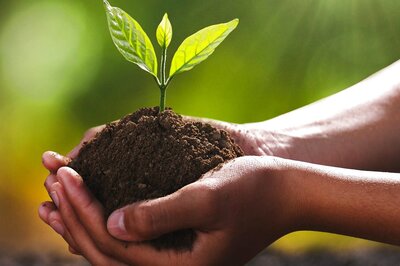IIT Kanpur Develops Portable Soil Testing Device That Detects Soil Health Under 2 Minutes