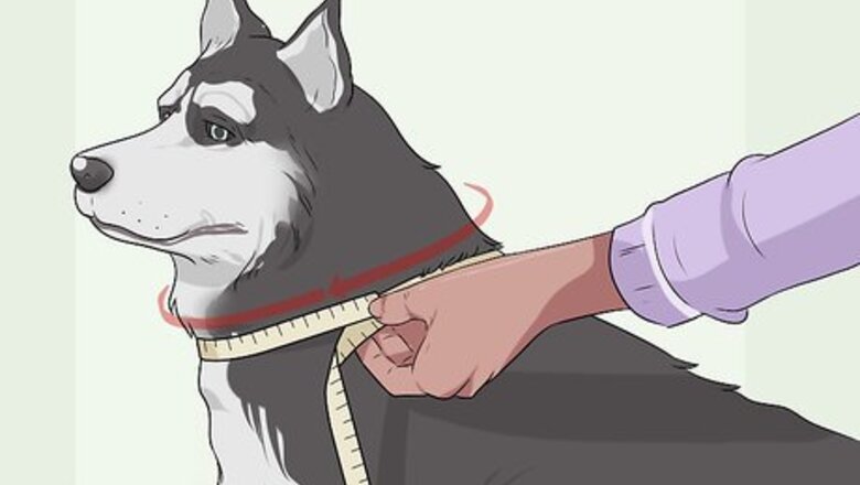 How to Dress Your Dog