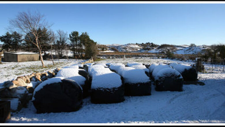 How to Make Haylage