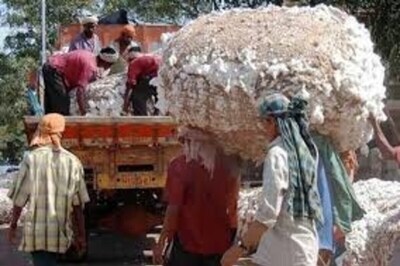Pakistan May Resume Import of Cotton from India: Report
