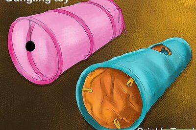 How to Use Cat Tunnels
