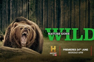 Untamed, Unpredictable and Unseen: Watch Nature Gone Wild On History TV18