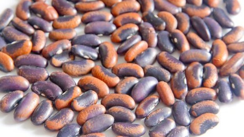 How to Prepare for a Female Gymnastics Competition